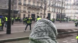Gilets jaunes arrachant un arbre avenue Marceau