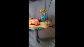 Popcorn the Quaker Parrot snuggles with mummy