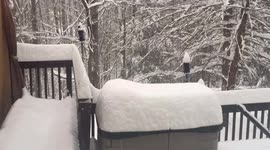 Time lapse shows snowfall in backyard of West Virginia home