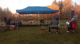 Dogo argentino RA on rails