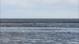 The moment boy, 7, is rescued after getting stuck in the mud on a beach
