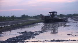 Ducks in a paddy field have to run for their lives from a monster machine.
