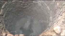 Amazing video;Elephant Baby strayed from Herds Falls Into Well, Rescued in India