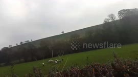 Sheep don't like people speaking their language