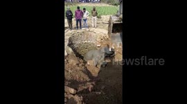 Baby elephant rescued from 30-feet deep well in eastern India after straying from herd