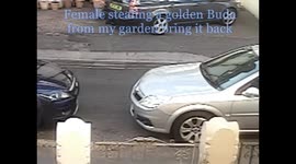 Woman steals Buddha statue from garden memorial dedicated to departed wife