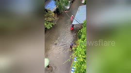 Residents pluck fish from flooded streets with buckets in Vietnam