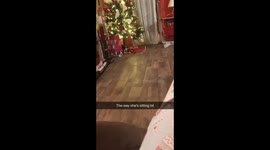 Cat sitting under the Christmas tree