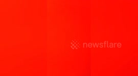 Newsflare Edit - A Conversation With Crazy Neighbour