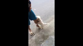 This dog doesn't want to let its owner leave the house