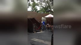 Newsflare Edit - Pub Punch Up Parramatta