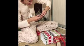 Raccoon packing Christmas presents