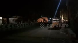 Panic, chaos among residents as herd of elephants stray into South Indian town overnight