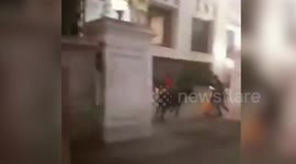 Lost buffalo wanders under 5-star hotel canopy and tries to gore a woman