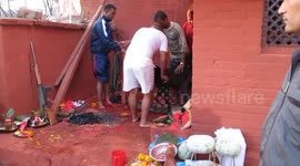 Animal sacrifice during Dashain festival