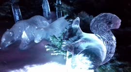 Ice  Kingdom 2018