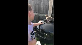 Boy meets bird