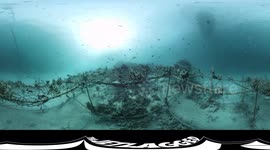 360° Biorock Coral Reef Restoration on Gili Trawangan (underwater video)