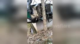 Car crashes off-road and gets wedged between a tree and a wall