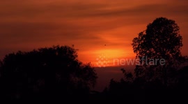 Birds fly across an evening sky still glowing from sunset.