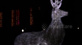 Deer sculpture made from 2,000 plastic bottles appears in London
