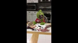 Gemma the Bulldog  'Grinch' is filing up with ice cream near the holidays