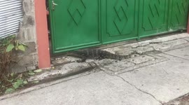 Monitor Lizard Caught On Front Drive