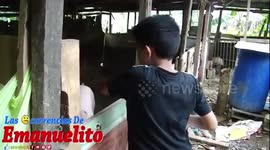 La multa