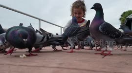 Adorable Kid Feeds Flock of Pigeons