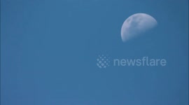 Monster Bee Swarm of Lunar Proportion