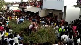 Indian villagers jump into huge pile of thorns from rooftops in bizarre ritual