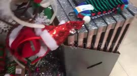 Welcome December Christmas Special Shopping Review