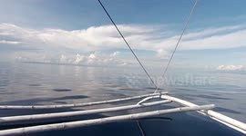 Paradise in Philippines - Bohol - boat (Bancas)