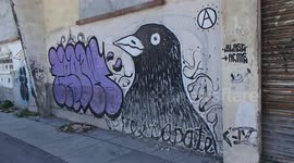 Street Art 14DEC2018