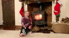 BENGAL CAT -- meet Tiggy