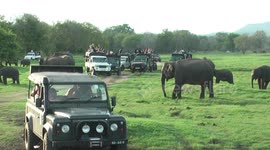 Elephants resort in Sri Lanka, safari jeeps with tourists