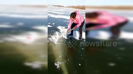 Fishermen break frozen river with axes to get giant fish stuck inside
