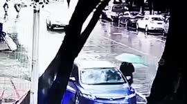 Pedestrian narrowly escapes death after tree falls down behind her