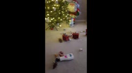 Toddler not caring place is A s**thole