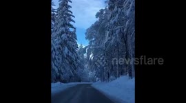 This is what driving through Yosemite in the dead of winter looks like