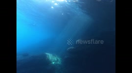 Stunning underwater footage shows freediver ascending through sun's rays