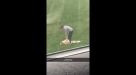 Lazy dog plays possum to avoid getting up to walk with owner