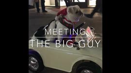 Meeting The Big Guy