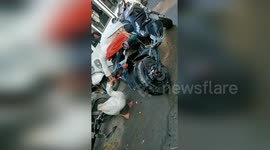 Two geese have a tragic kiss goodbye in eastern China