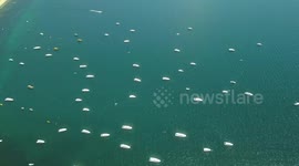 Aerial view of the lake
