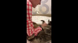 Girl playing with a raccoon