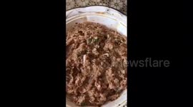 Making Chicken Shami Kabab Indian Style / Home Cooking