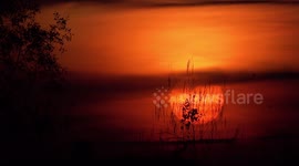 Big orange tropical sunset and orange sky with small birds.