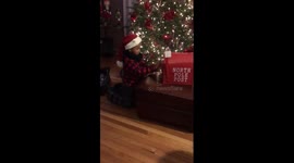 Christmas Puppy Surprise