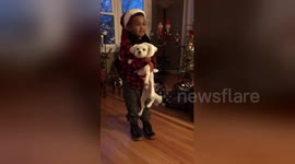 5-year-old Deryk gets puppy-shaped miracle after tough childhood
